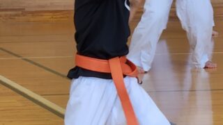 武道・健康